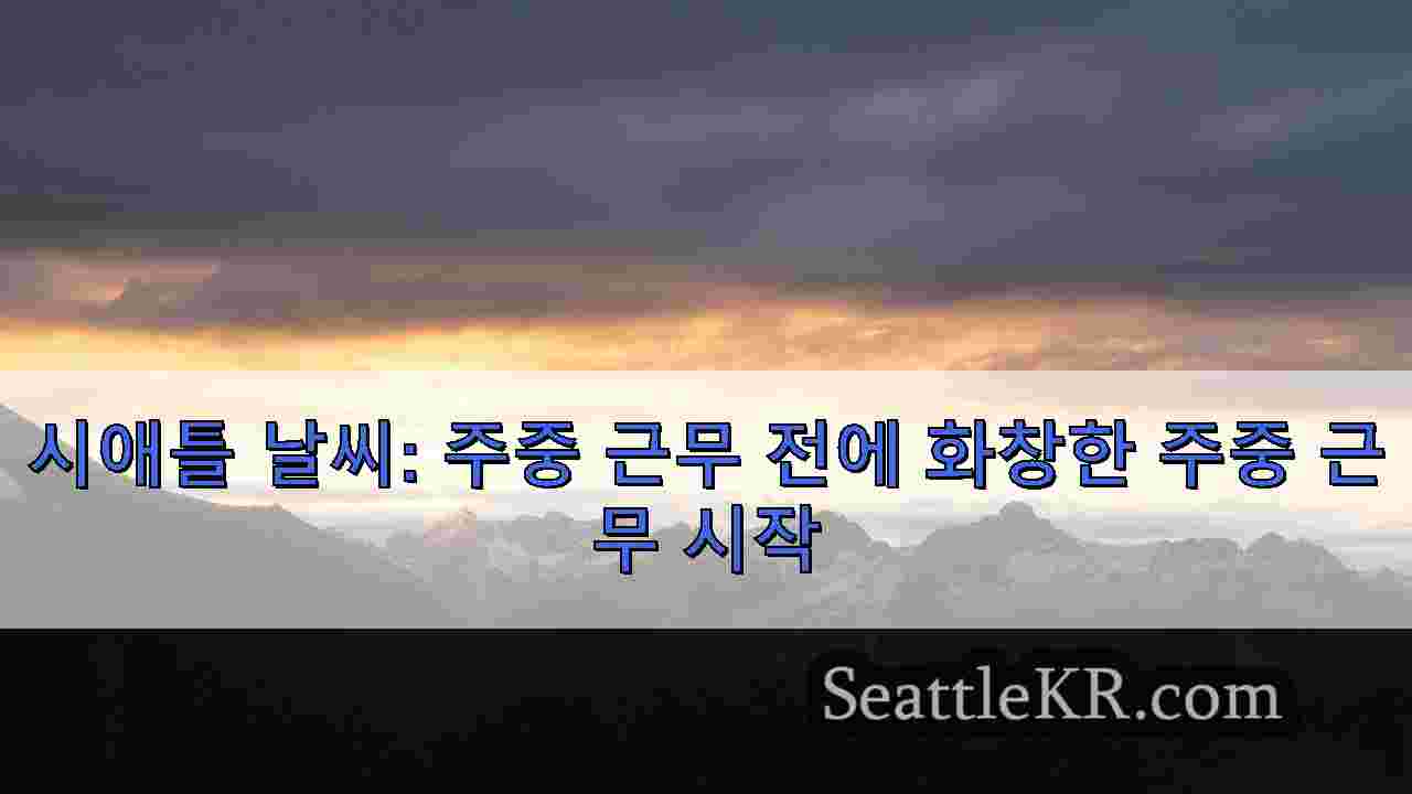 시애틀 뉴스 SeattleKR