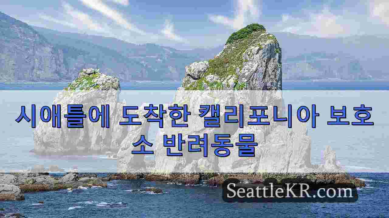 캘리포니아 산불: 로스앤젤레스 보호소에 있던 수십 마리의 동물들이