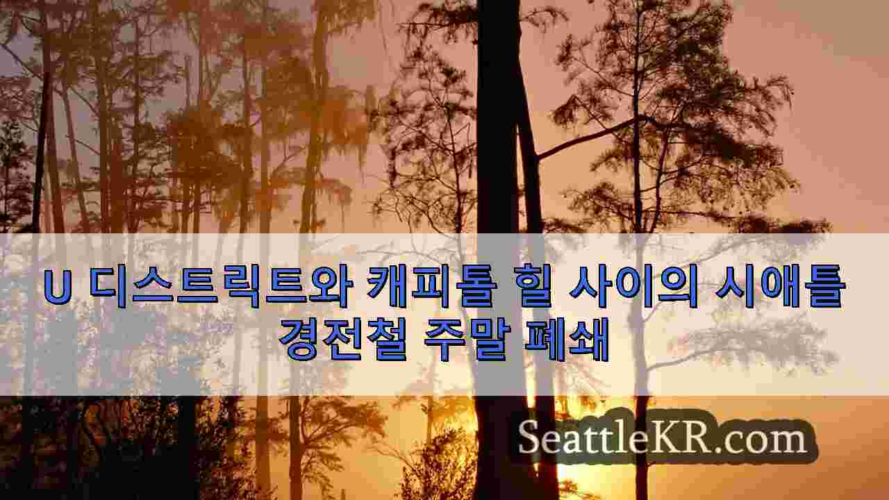 시애틀 뉴스 SeattleKR
