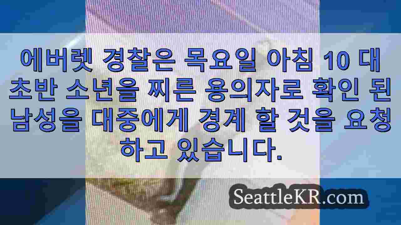 시애틀 뉴스 SeattleKR