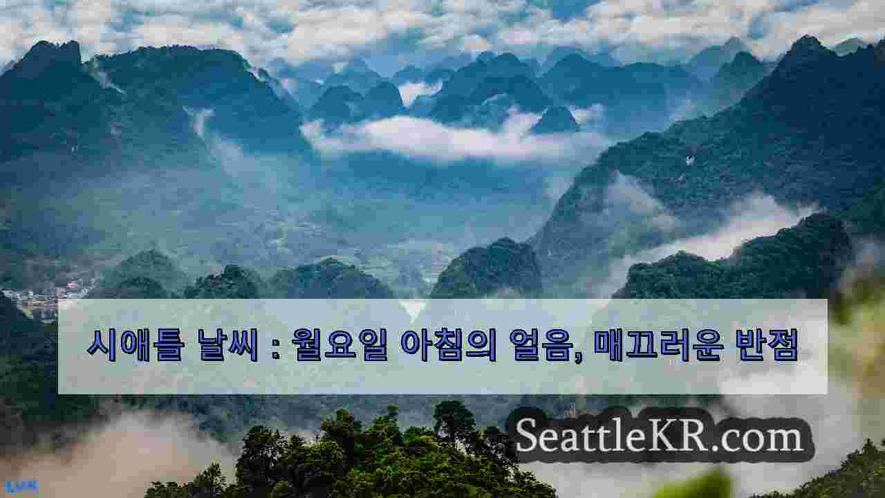 시애틀 뉴스 SeattleKR