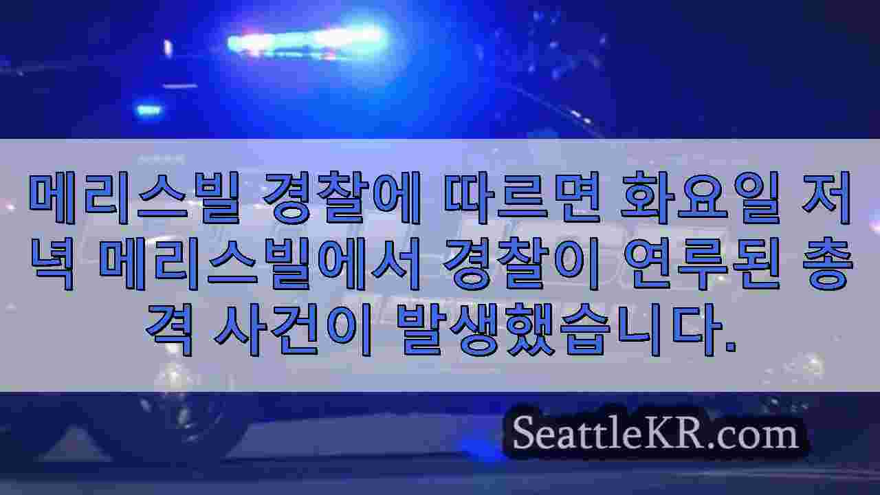 시애틀 뉴스 SeattleKR