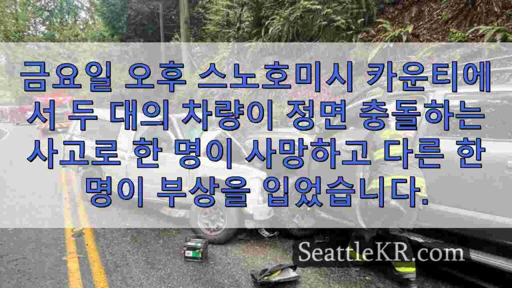 스노호미시 카운티 치명적인 충돌 사고로 1 명 사망, 1 명 부상, 몇