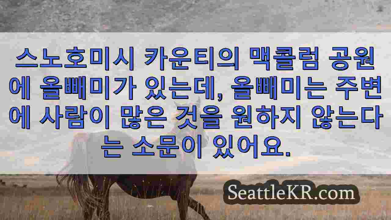 시애틀 뉴스 SeattleKR