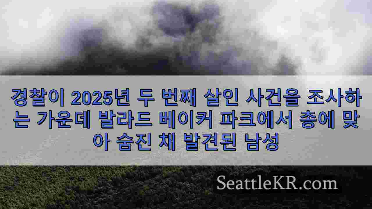시애틀 뉴스 SeattleKR