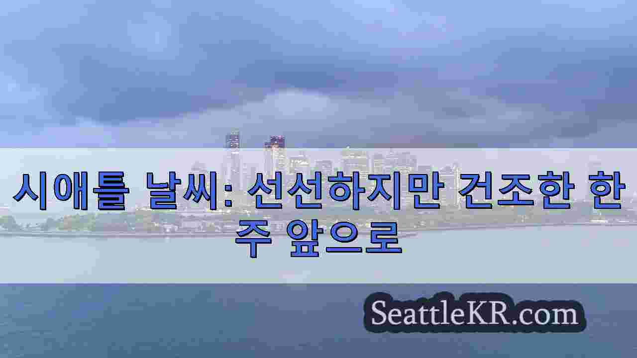 시애틀 뉴스 SeattleKR
