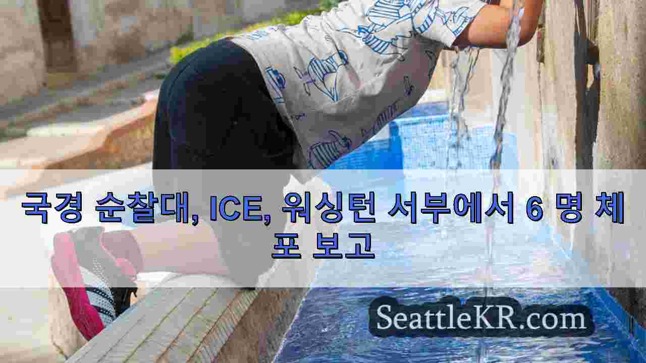 시애틀 뉴스 SeattleKR