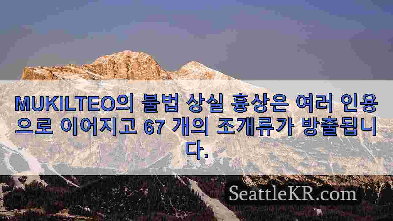 시애틀 뉴스 SeattleKR