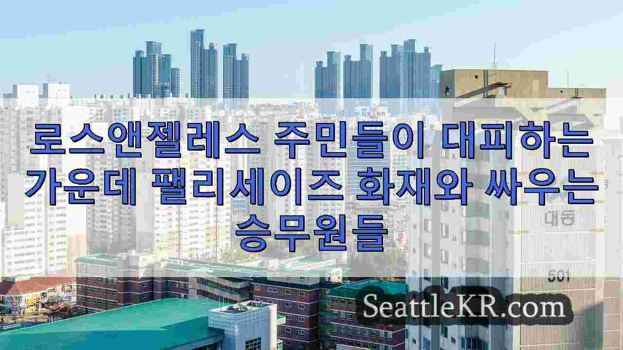 시애틀 뉴스 SeattleKR