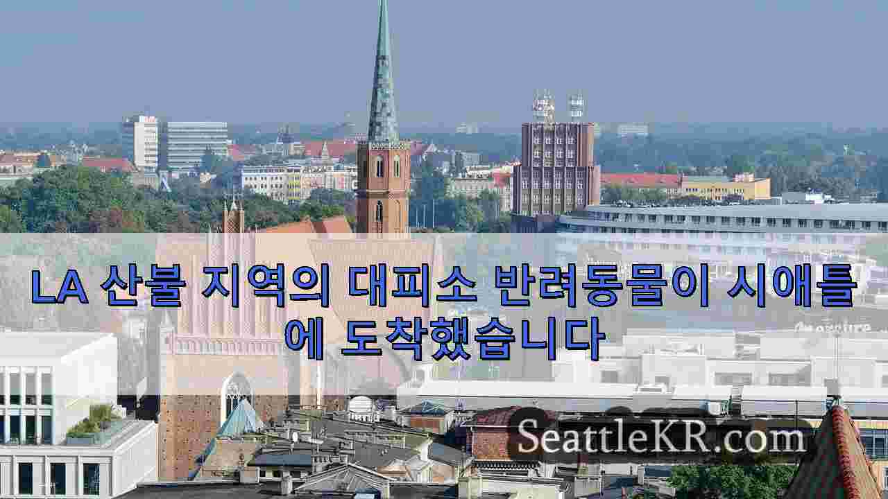 시애틀 뉴스 SeattleKR
