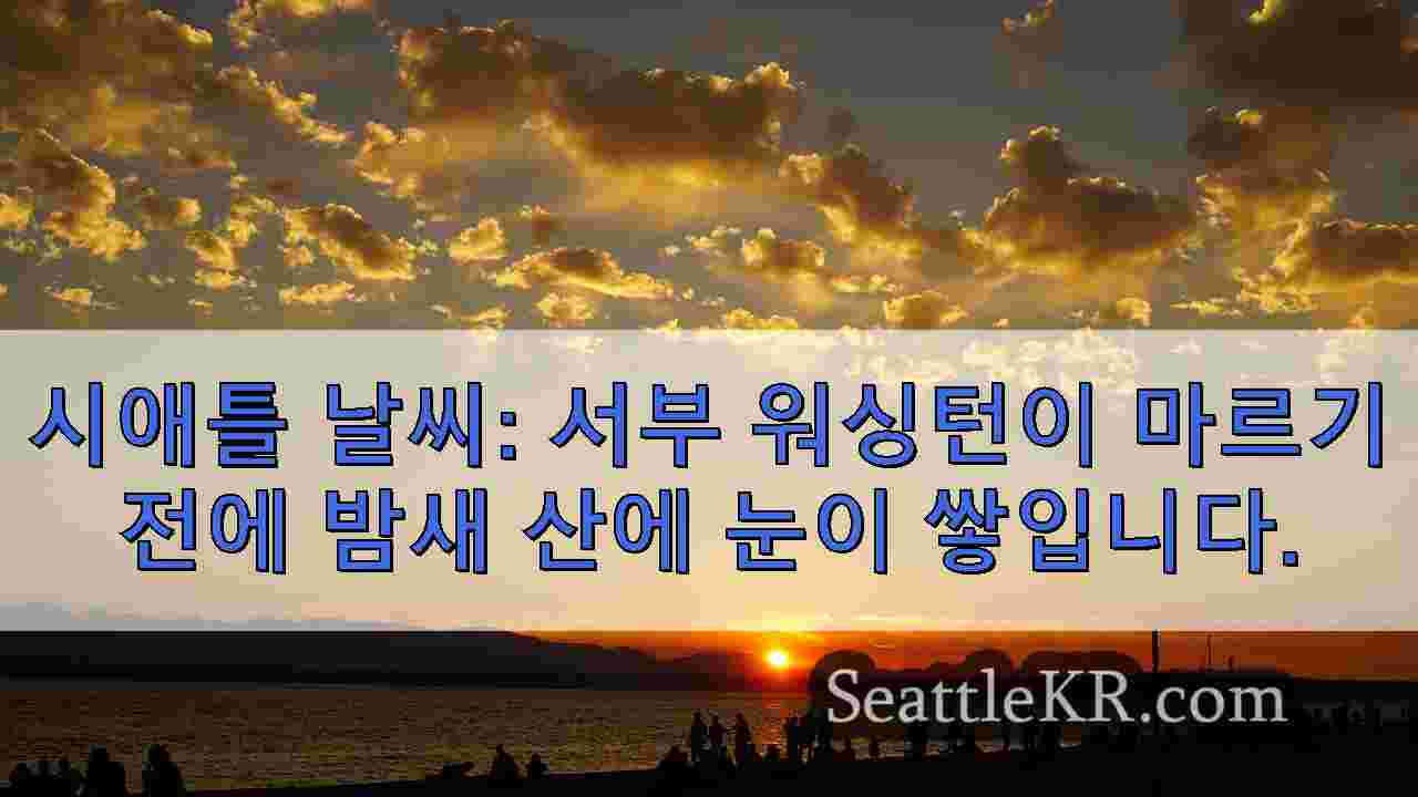 시애틀 뉴스 SeattleKR