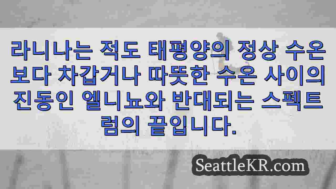 시애틀 뉴스 SeattleKR