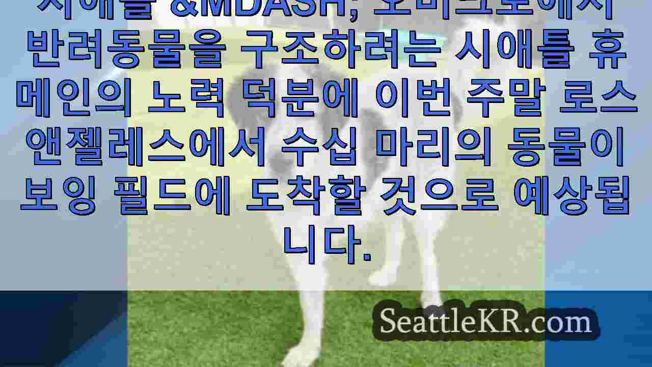 시애틀 뉴스 SeattleKR