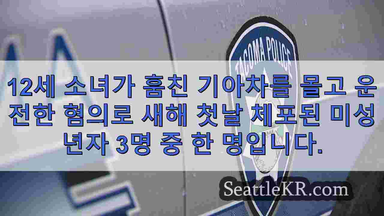 타코마에서 훔친 차를 운전하다 체포된 3인조 중 12세 소년, 추격전