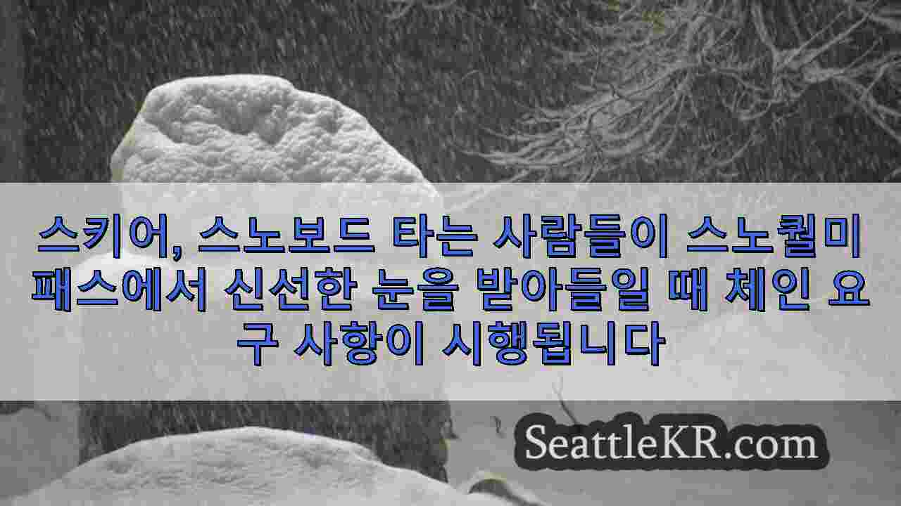 시애틀 뉴스 SeattleKR