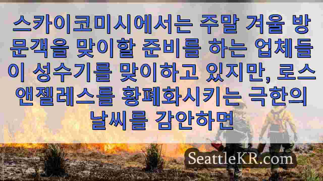 시애틀 뉴스 SeattleKR