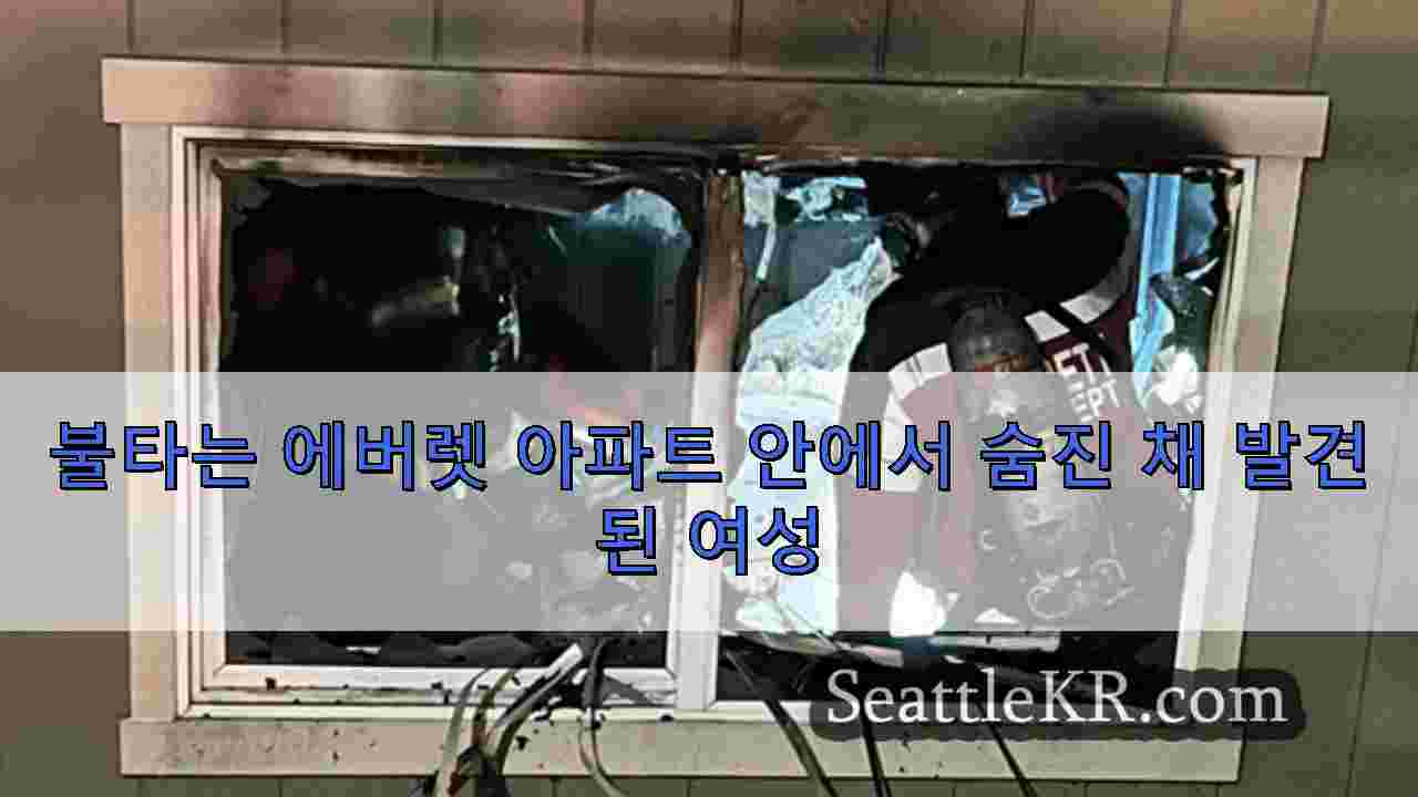 시애틀 뉴스 SeattleKR