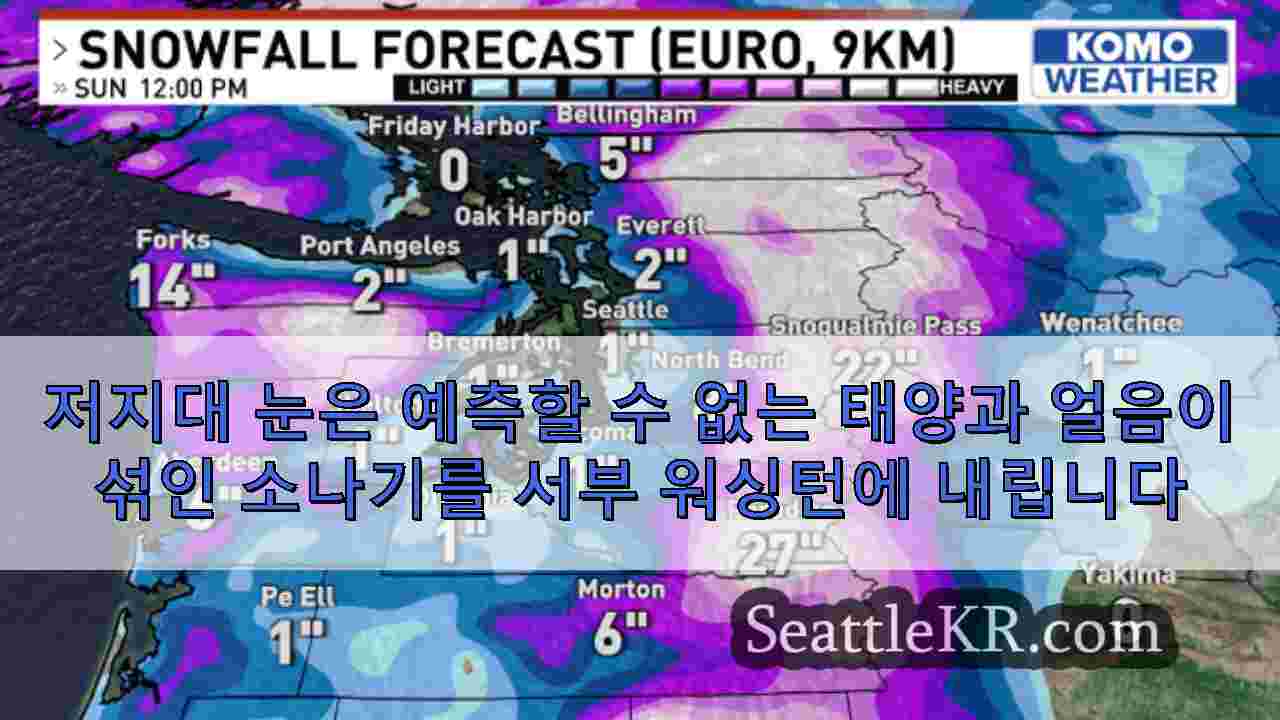 시애틀 뉴스 SeattleKR