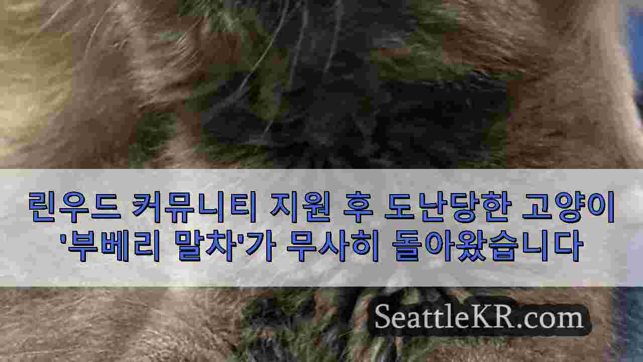 시애틀 뉴스 SeattleKR