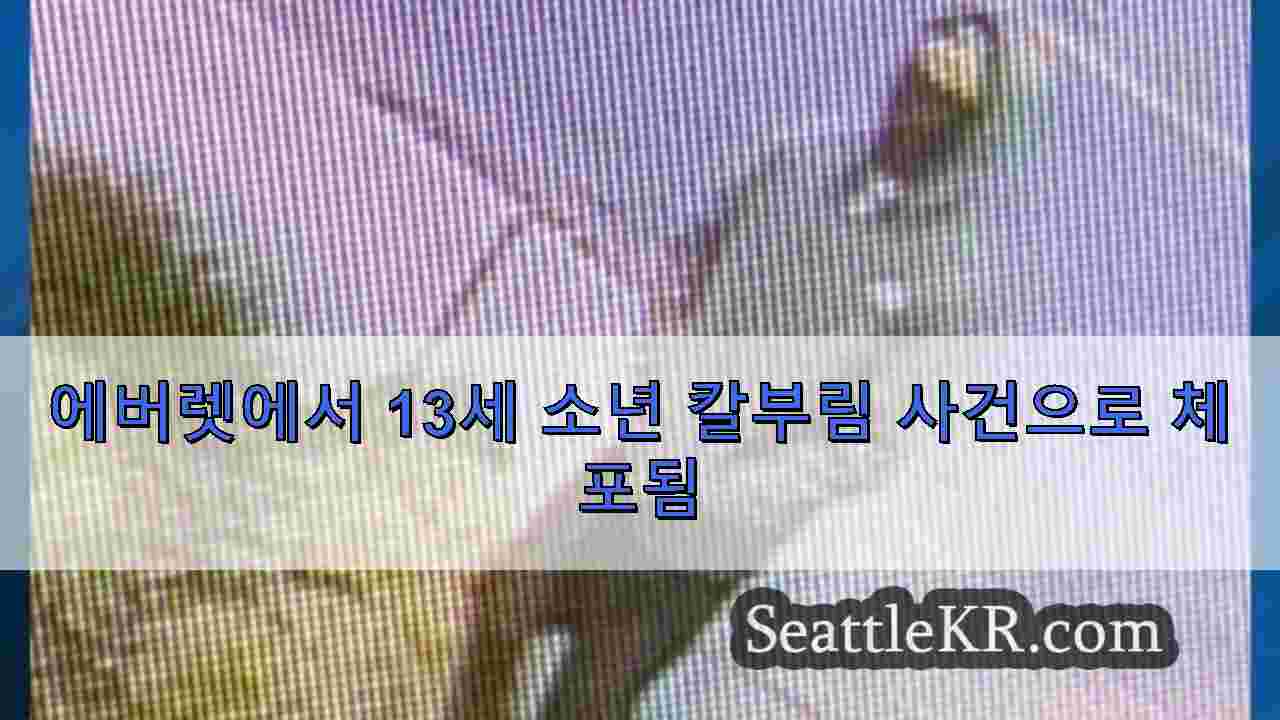 시애틀 뉴스 SeattleKR