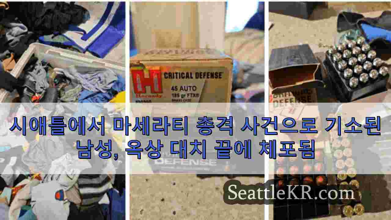 시애틀 뉴스 SeattleKR