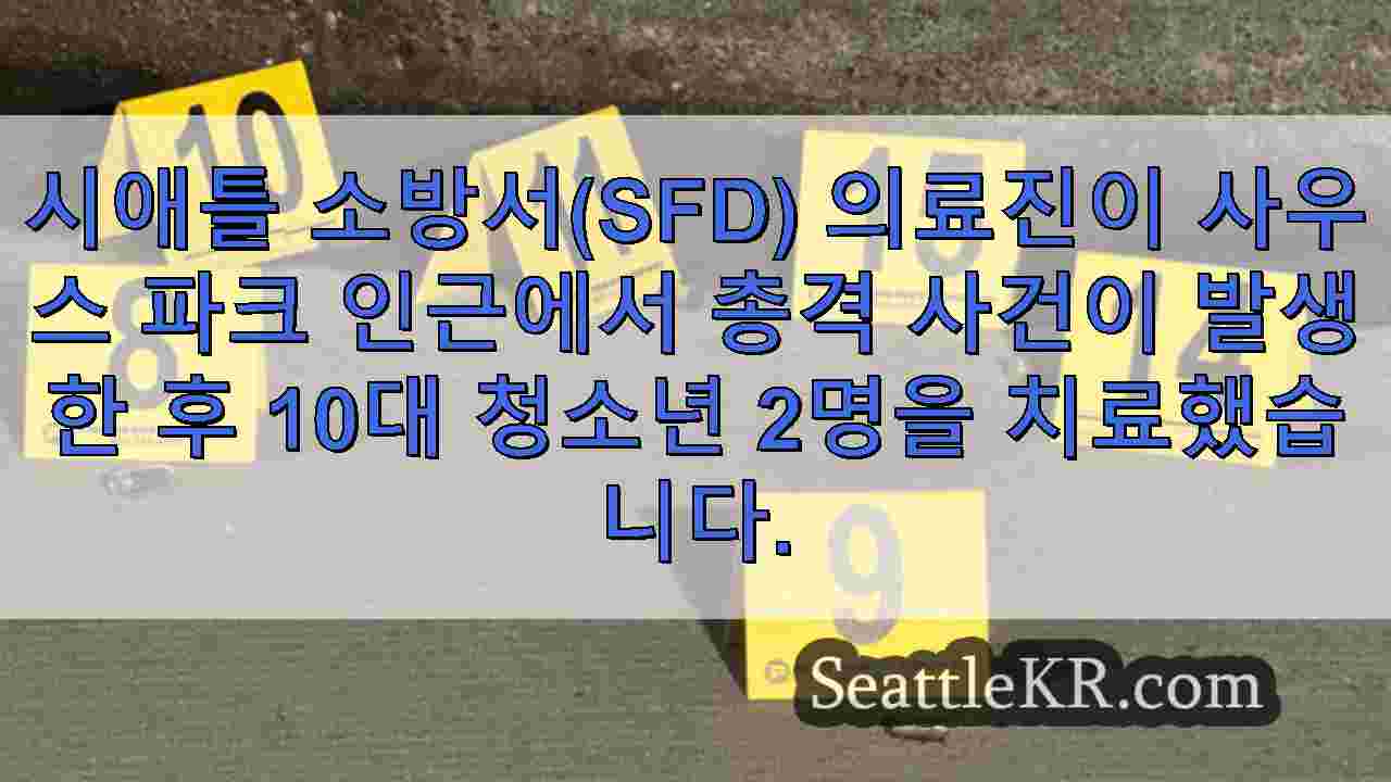 시애틀 뉴스 SeattleKR