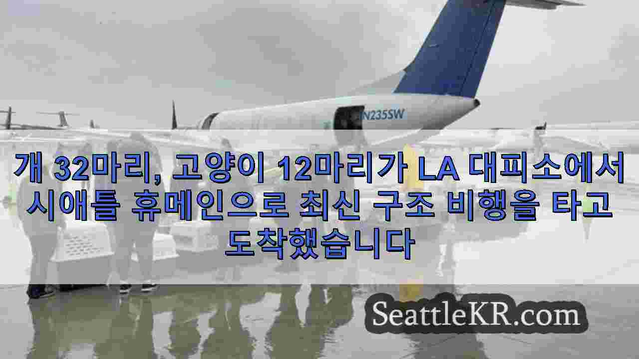 시애틀 뉴스 SeattleKR