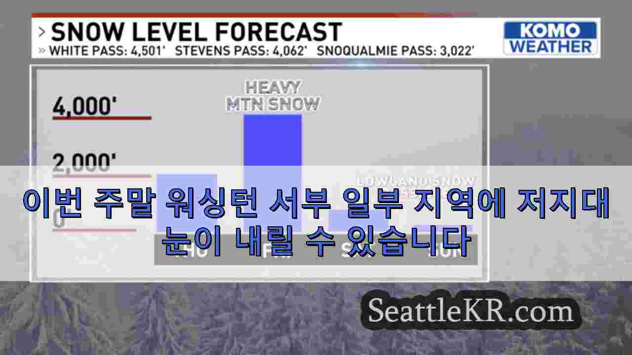 시애틀 뉴스 SeattleKR