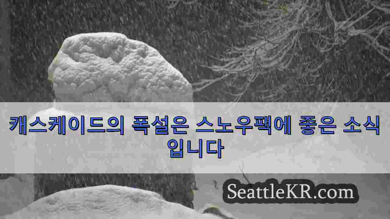 시애틀 뉴스 SeattleKR