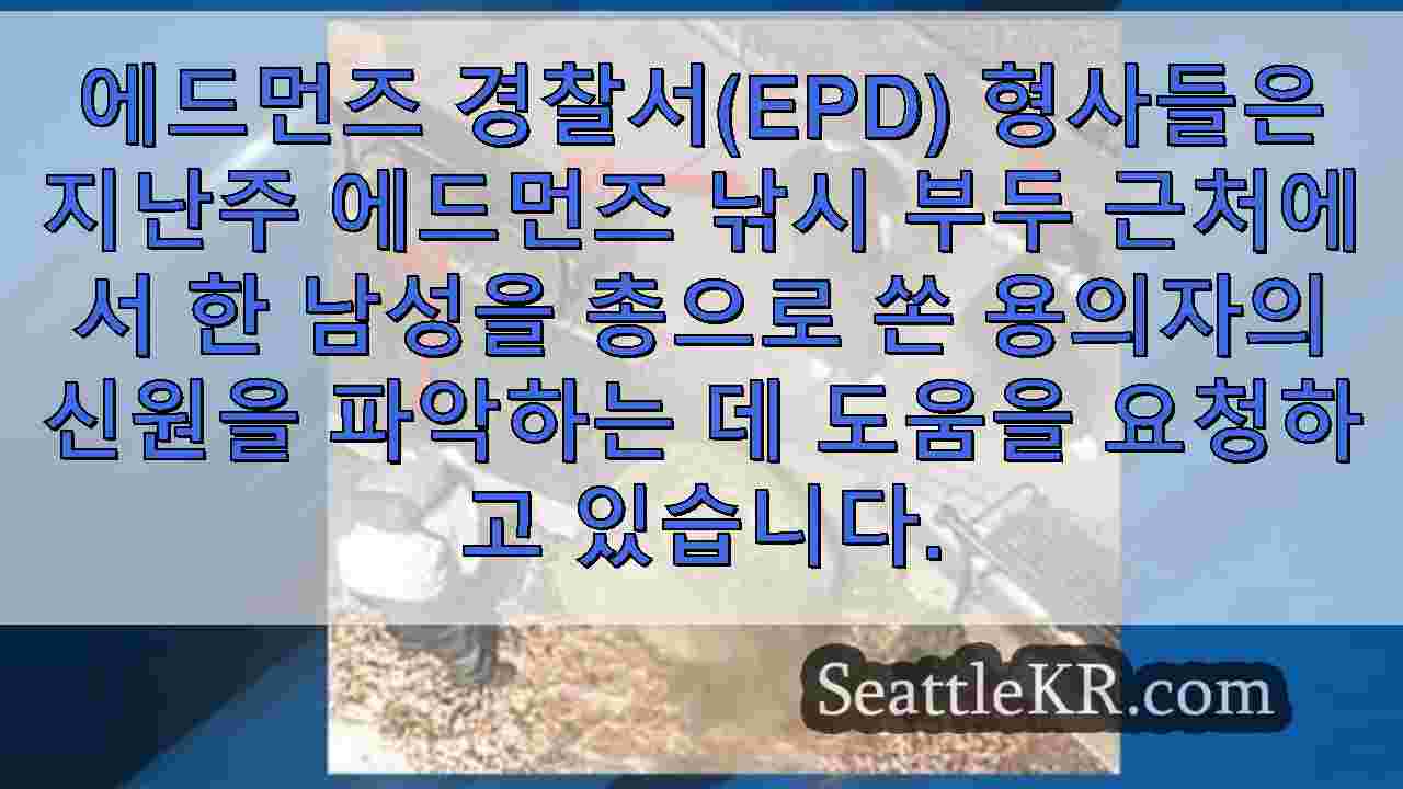 시애틀 뉴스 SeattleKR