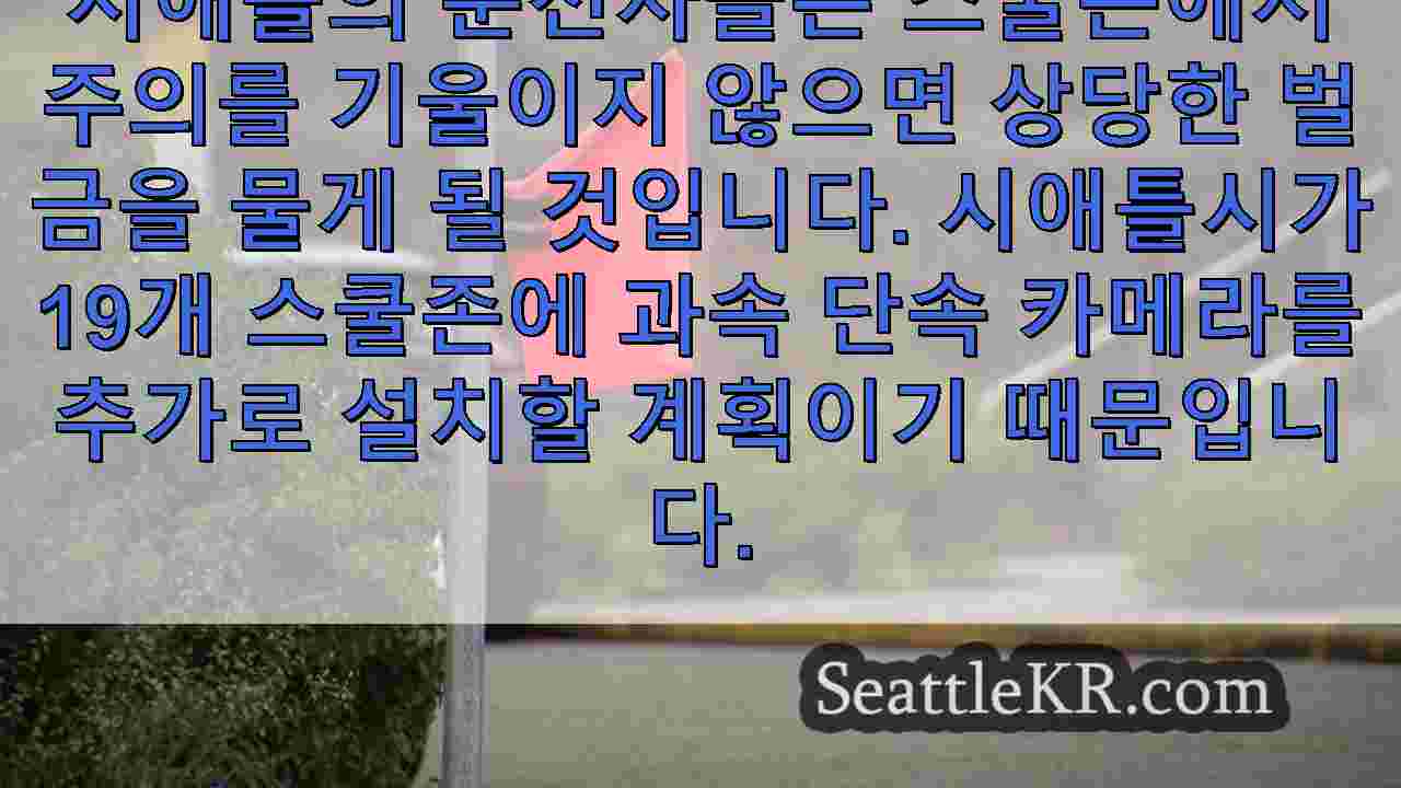 시애틀 뉴스 SeattleKR