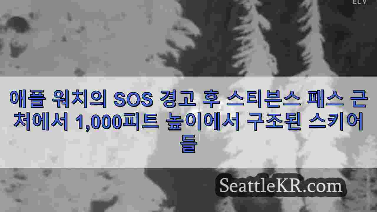 시애틀 뉴스 SeattleKR