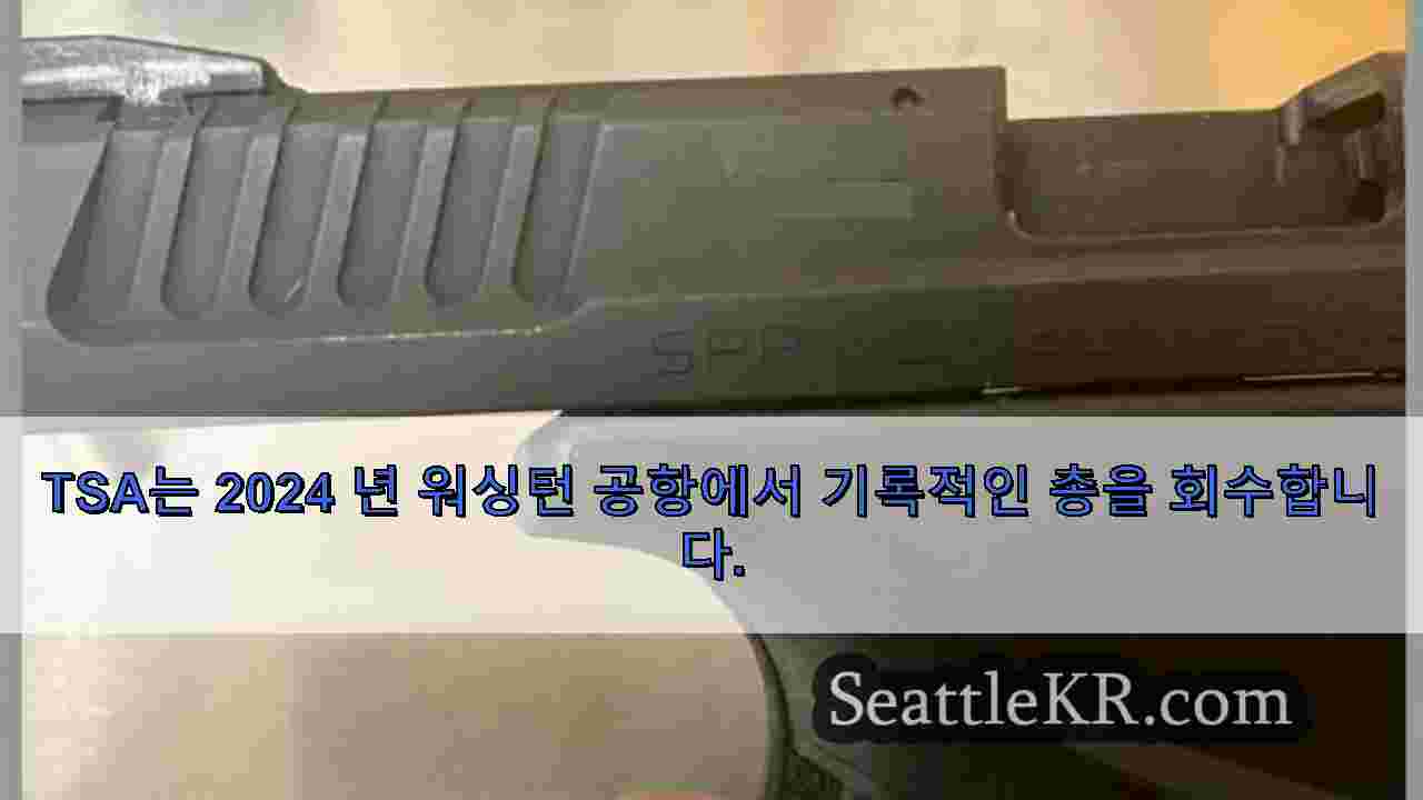 시애틀 뉴스 SeattleKR