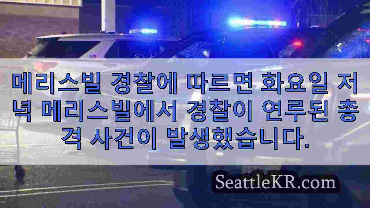 시애틀 뉴스 SeattleKR