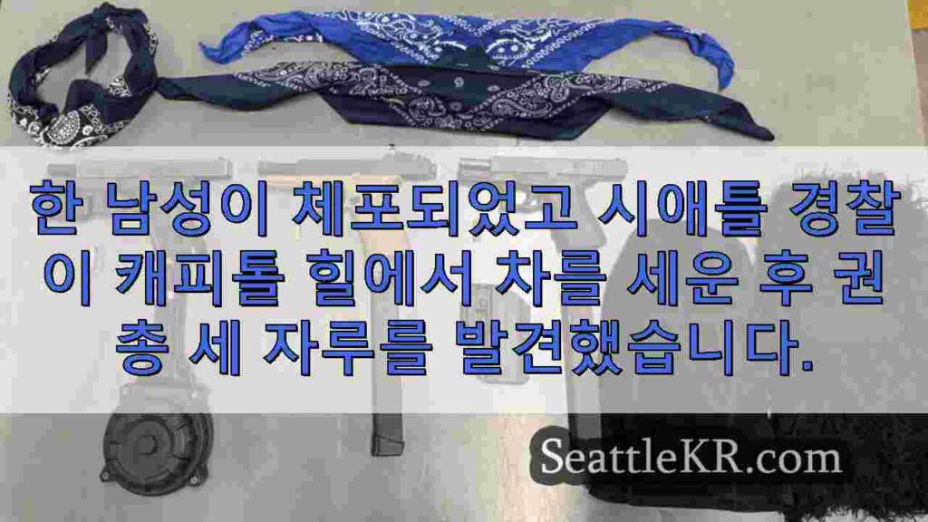 국회의사당에서 사람들에게 총을 겨눈 후 개조된 무기를 든 남성이