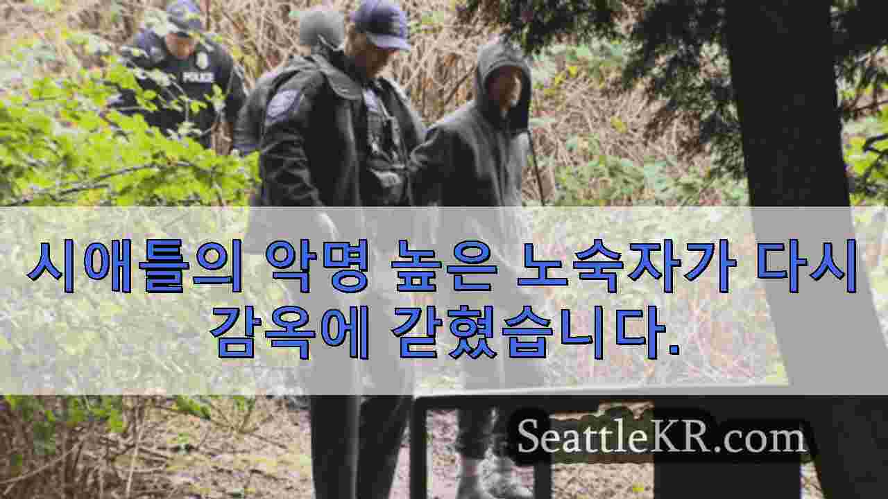 시애틀 뉴스 SeattleKR