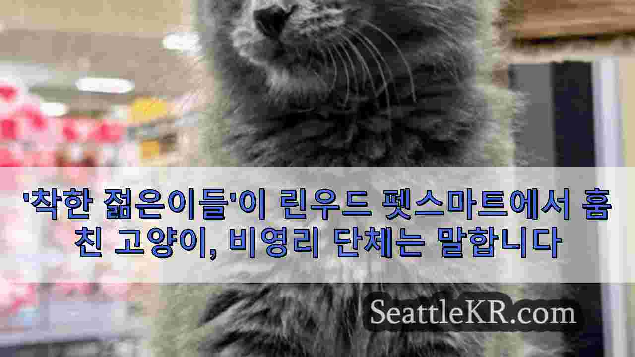 시애틀 뉴스 SeattleKR