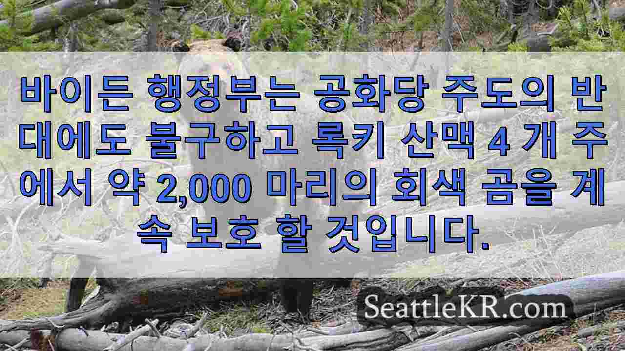 미국은 2,000 마리 이상의 록키 산 그리즐리 곰을 계속 보호 할