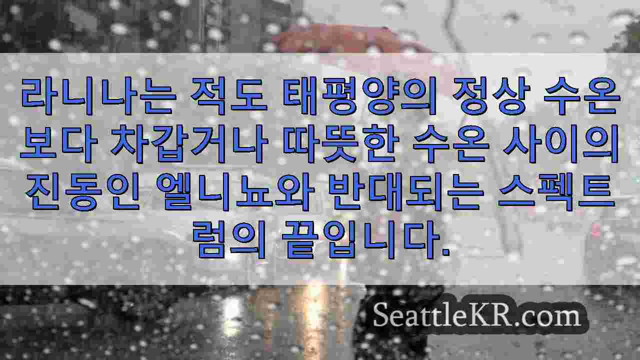 시애틀 뉴스 SeattleKR