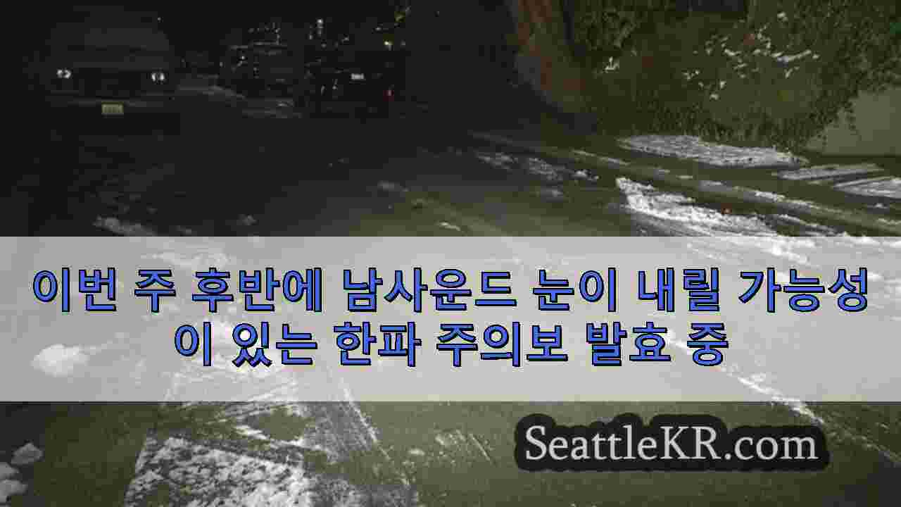 시애틀 뉴스 SeattleKR