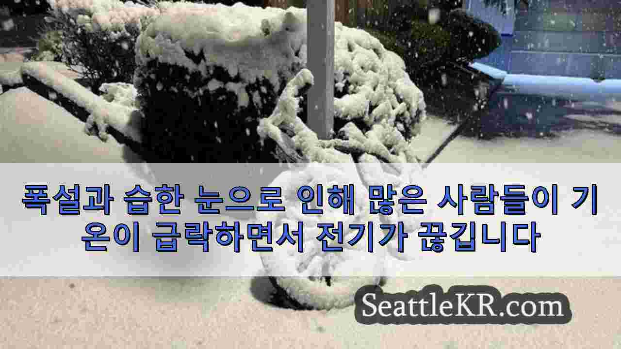 시애틀 뉴스 SeattleKR