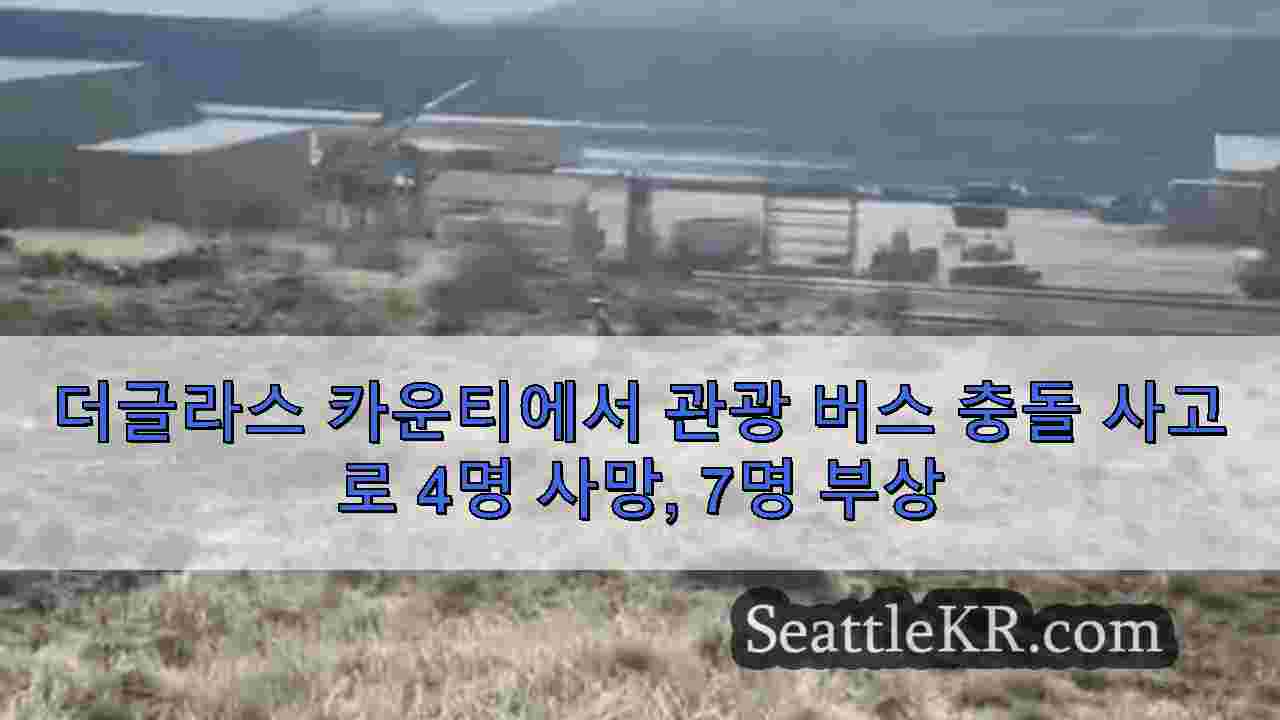 시애틀 뉴스 SeattleKR