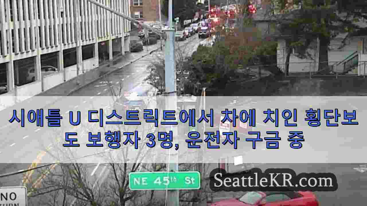시애틀 뉴스 SeattleKR