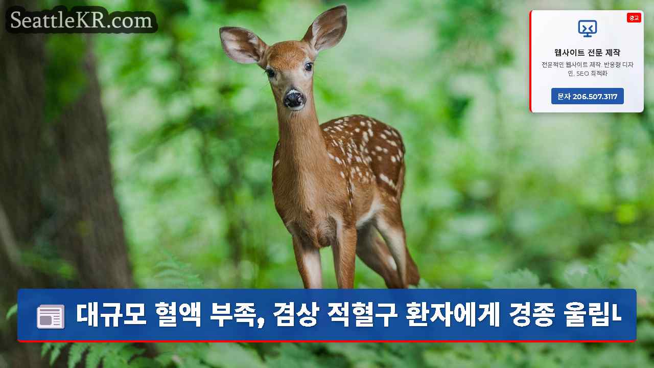시애틀 뉴스 SeattleKR