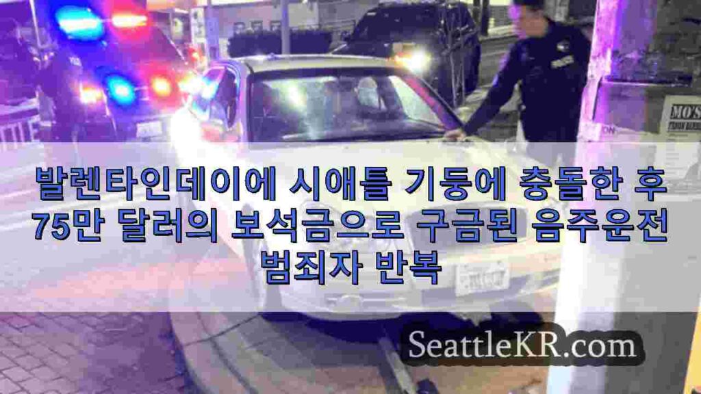 발렌타인데이에 시애틀 기둥에 충돌한 후 75만 달러의 보석금으로 구금된