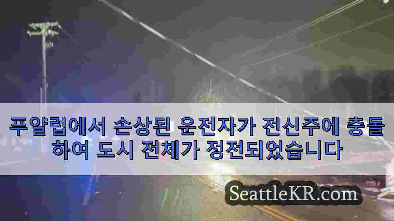 시애틀 뉴스 SeattleKR