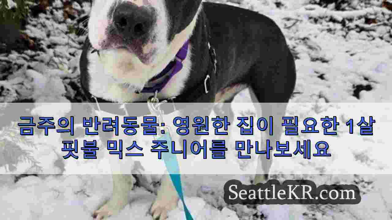 시애틀 뉴스 SeattleKR