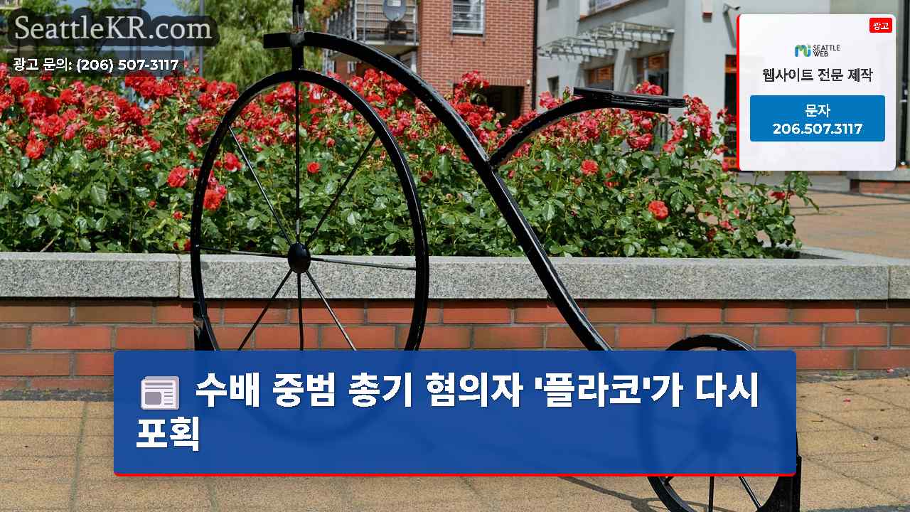 시애틀 뉴스 SeattleKR