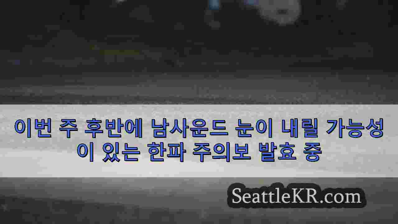 시애틀 뉴스 SeattleKR