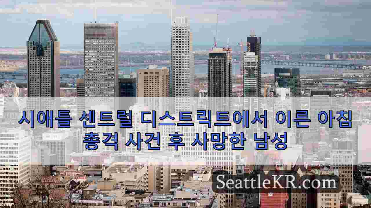 시애틀 뉴스 SeattleKR